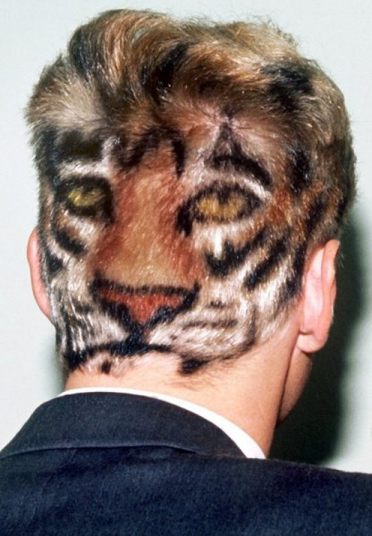 Permalink to Wm 2006 Effenberg Mit Tigerfrisur